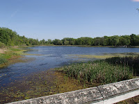 P5180068.JPG