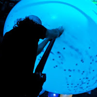 studuction 2011 mega balloon.jpg