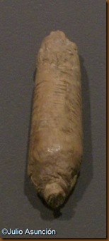 Cueva de Abauntz - colgante con computos lunares - Museo de Navarra Cueva de Abauntz - colgante con computos lunares - Museo de Navarra