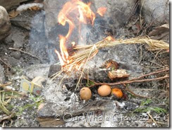 seeds, cake, eggs, sweetgrass