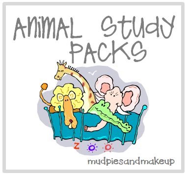 [Animal-Study-Packs-Box7.jpg]