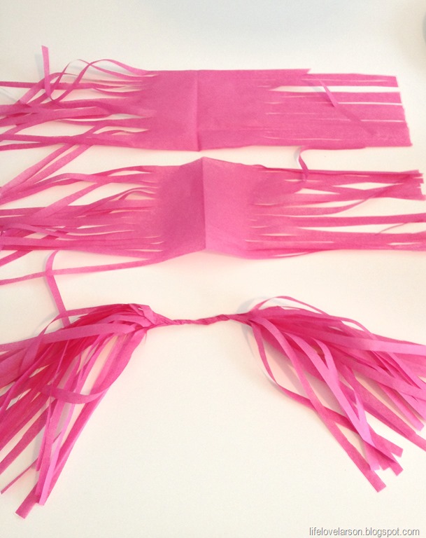 [tassel%25205%255B3%255D.jpg]