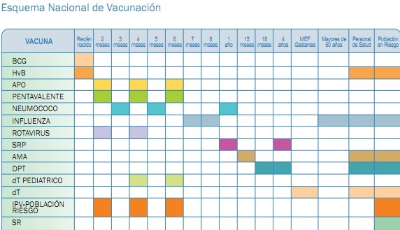 [vacunas%2520minsa%255B3%255D.jpg]