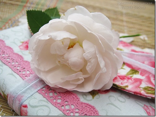 IMG_9748 IMG_9748