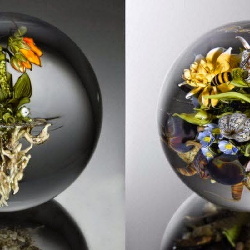 Glass Paperweights by Paul Joseph Stankard Amusing