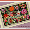Search results for flowers7.jpg
