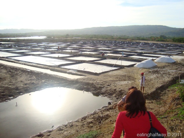 [DSC01058%255B7%255D.jpg]
