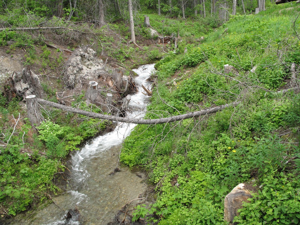 [IMG_3783%255B6%255D.jpg]