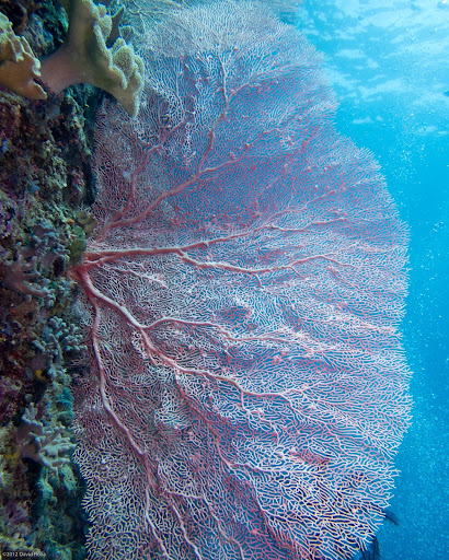 P7034437