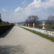 DSC00265.JPG