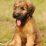 Abi - DSC_0262.jpg