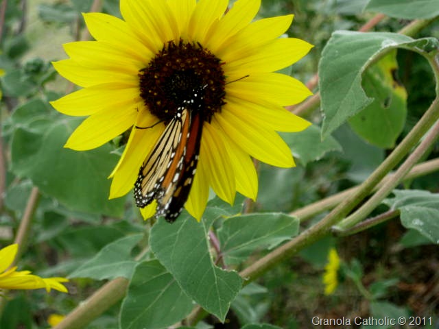 [IMG_8197%255B16%255D.jpg]