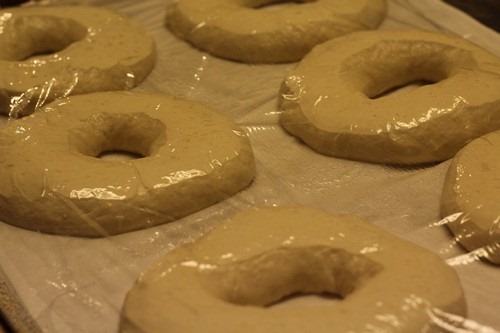 [sourdough-bagels018%255B5%255D.jpg]