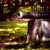 War cannon free picture