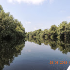 DSCN8120.JPG