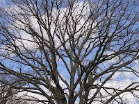 DSC02949.JPG