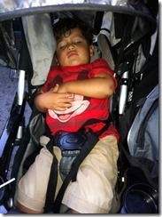 9.12.12-gio-asleep_thumb_thumb