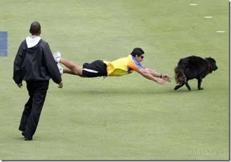 cricket-match funny picture