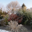 DSC00416.JPG