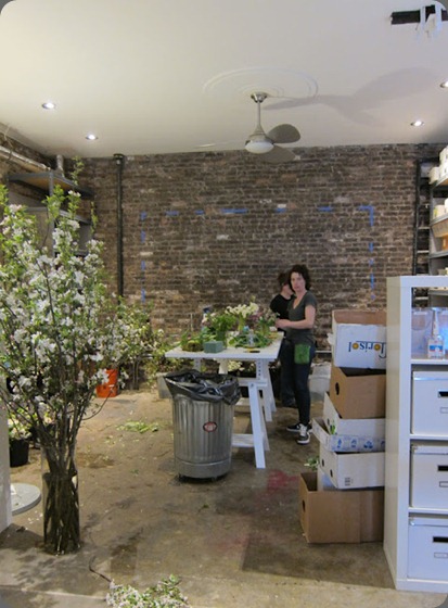 DFFD studio  denise fasanello