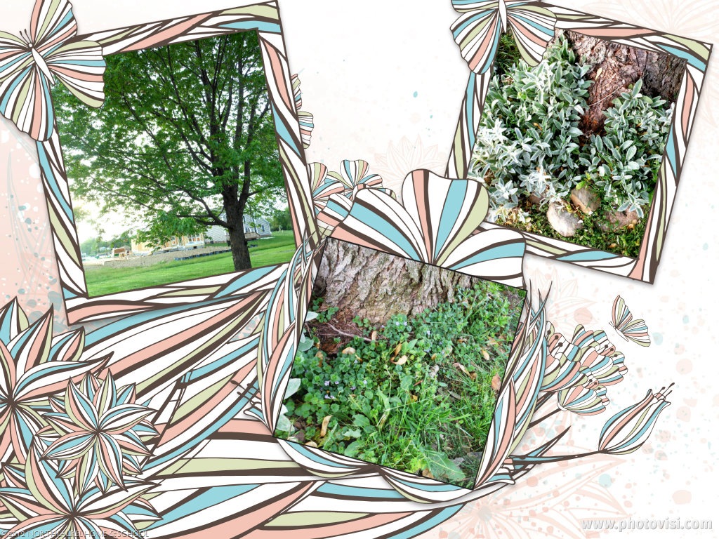 [tree5.6.12%255B9%255D.jpg]