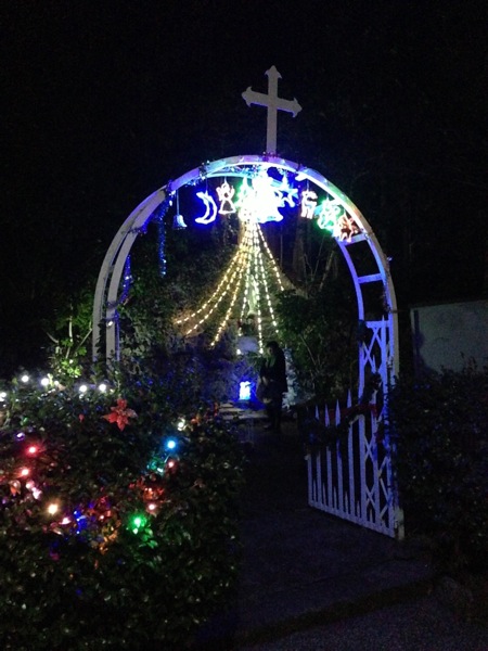 IMG_0863.jpg IMG 0863