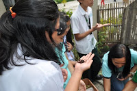 pinoyecofarm vermicomposting seminar _0041.JPG