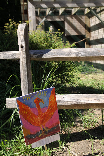 The Phoenix is found by the owl cage.