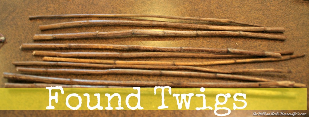 [found%2520twigs%255B4%255D.jpg]