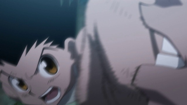 [Hunter%2520X%2520Hunter%2520-%252089%2520-%2520Large%252011%255B2%255D.jpg]