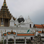 IMG_8626.JPG