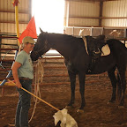 _DSC0048resized.jpg