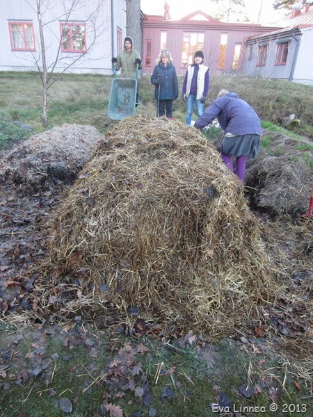 IMG_8340 IMG_8340