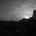 R0028279.JPG