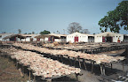 Sun-drying fish