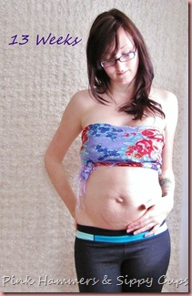 1-13 weeks front