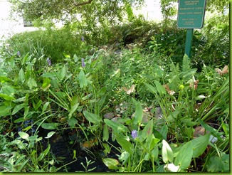 P1090858