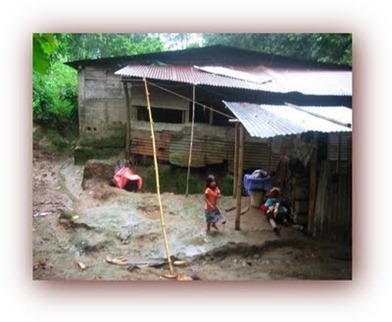 IMG_1032 IMG_1032