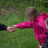2011Gilwell - DSC_0172.jpg