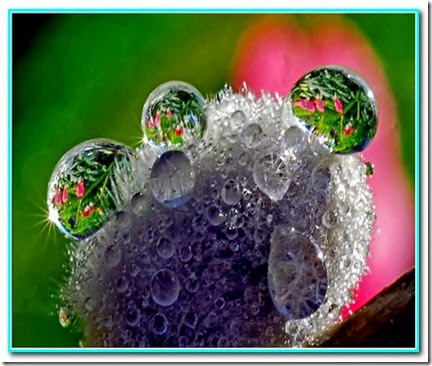 Gota de segurança Gota de segurança