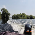 DSCN8118.JPG