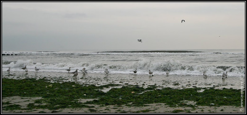 Вид на Америку. Rockaway   Ирландская ривьера (foto america  фото путешествия моря и океаны new york  0101 NY%25252C%252520Rockaway 10)