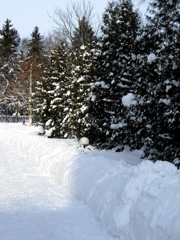 [DSCN43713.jpg]