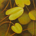 Object: 17241 - Waterplanten - 12 x 12 cm - € 675,-