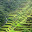Philippines- Banaue