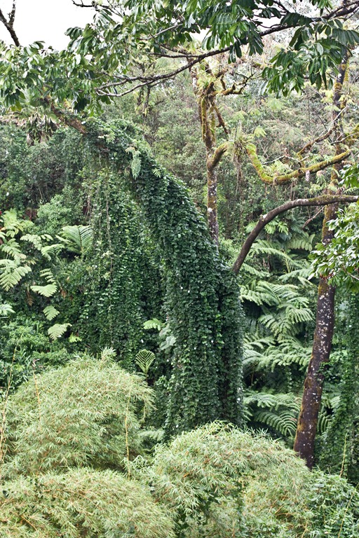 [20121213-IMG_29553.jpg]