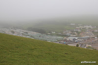 IMG_9313.JPG Photo
