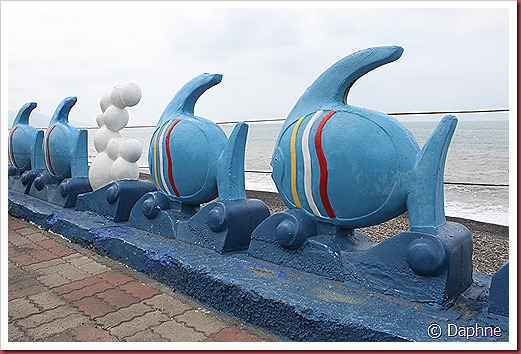IMG_0765 IMG_0765