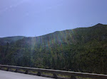 IMG00012-20090726-1016.jpg