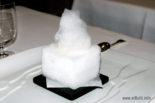 [el%2520bulli%255B1%255D.png]